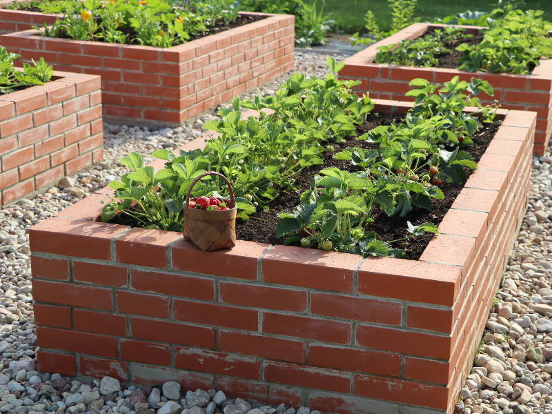 Backyard Farm